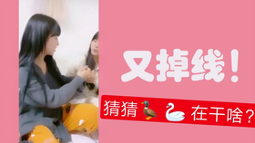王中王欲錢詩猜一肖，王中王欲錢詩暗示的生肖之謎