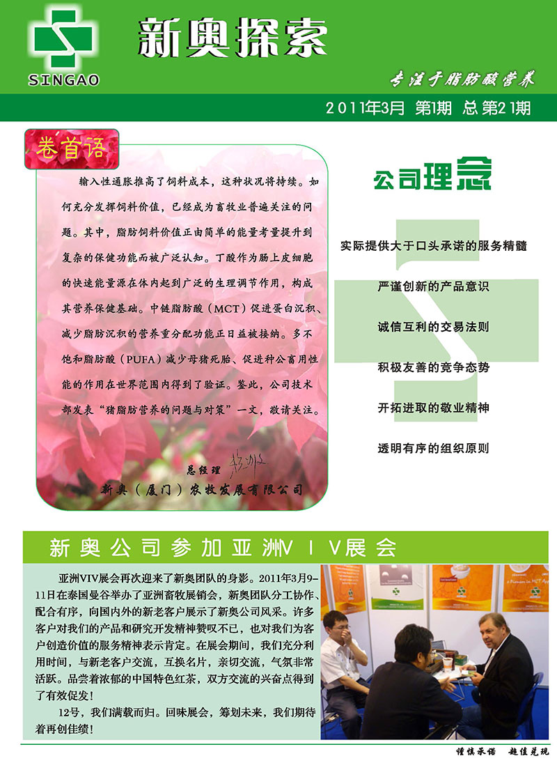 2025新澳正版資料精準(zhǔn)解析，2025新澳正版資料精準(zhǔn)解析手冊(cè)