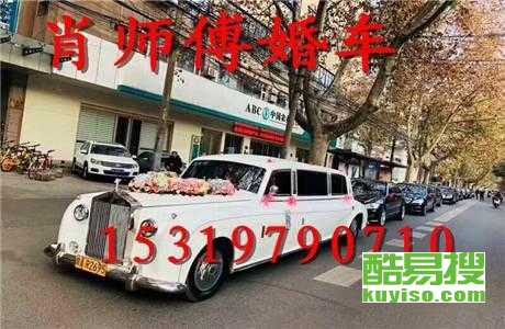 王中王車奪平特一肖免費——深度解析與探索，王中王車奪平特一肖，深度解析與免費探索