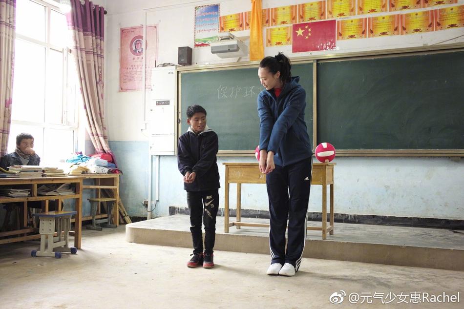 王中王平特一肖一大公開，深度解析與探索，王中王平特一肖公開，深度解析與探索揭秘