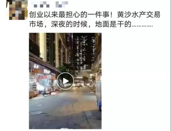 好料盡在王中王——揭秘生肖運勢的獨特魅力，揭秘生肖運勢獨特魅力，王中王好料大解密