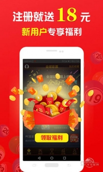 王中王的一肖，探尋背后的奧秘與故事，王中王的一肖，揭秘背后的奧秘與傳奇故事