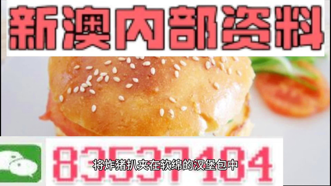 2025新澳正版資料精準(zhǔn)解析，2025新澳正版資料精準(zhǔn)解析手冊(cè)