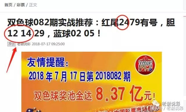 王中王082期指一生肖——探尋生肖魅力，洞悉運(yùn)勢(shì)奧秘，探尋生肖魅力，揭秘運(yùn)勢(shì)奧秘——王中王生肖運(yùn)勢(shì)解析 082期
