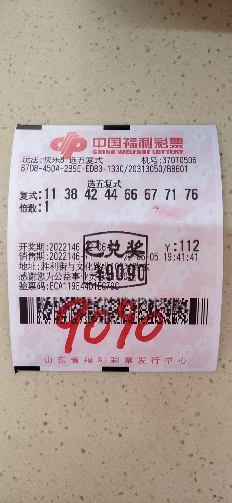 揭秘002期王中王平特一肖，背后的故事與奧秘，揭秘王中王平特一肖背后的故事與奧秘（第002期）
