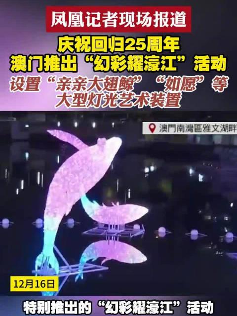 新澳門六開獎結果查詢濠江論壇——快速獲取開獎信息的首選平臺，澳門六開獎結果查詢首選平臺，濠江論壇快速更新開獎信息