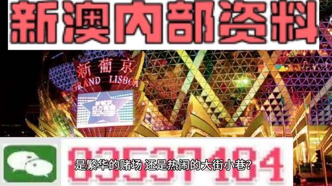 新澳門精準(zhǔn)資料大全管家婆料，探索與解析，澳門精準(zhǔn)資料大全解析，探索管家婆料內(nèi)幕