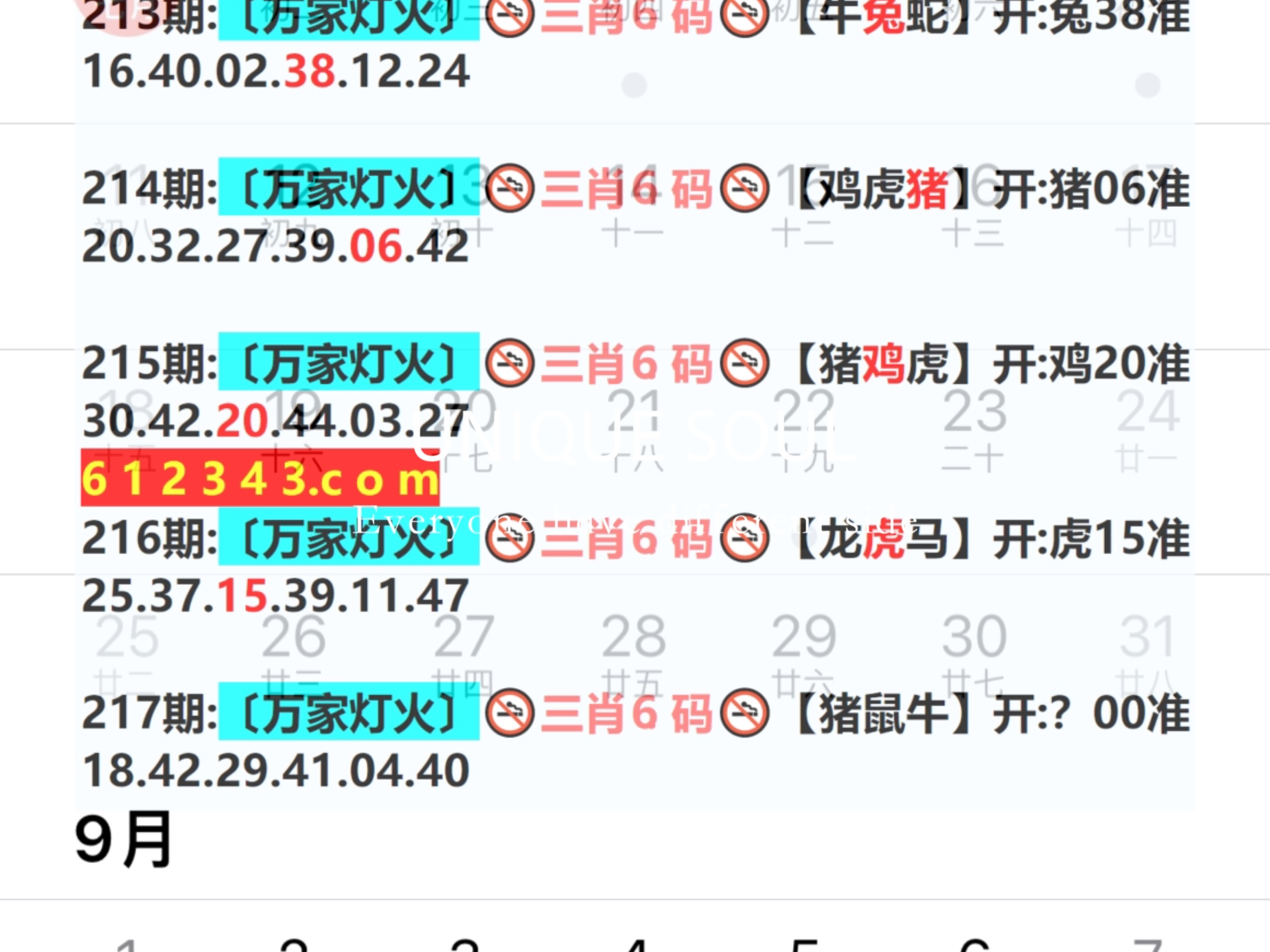 新奧今日六肖中特，揭秘背后的秘密與趨勢分析，揭秘新奧今日六肖中特背后的秘密與趨勢分析