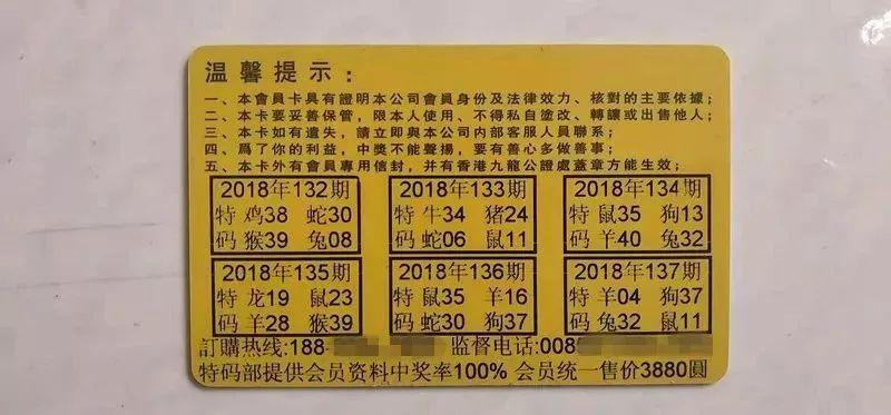 香港中特期期準(zhǔn)資料，深度解析與探索，香港中特期期準(zhǔn)資料深度解析與探索報告