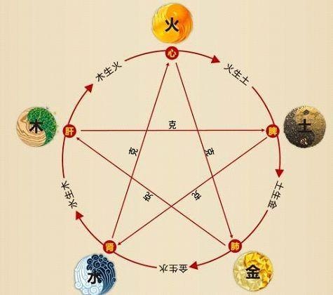 鐵算算盤4887最準(zhǔn)資料，揭秘其背后的秘密與優(yōu)勢(shì)，揭秘鐵算算盤4887，最準(zhǔn)資料背后的秘密與優(yōu)勢(shì)