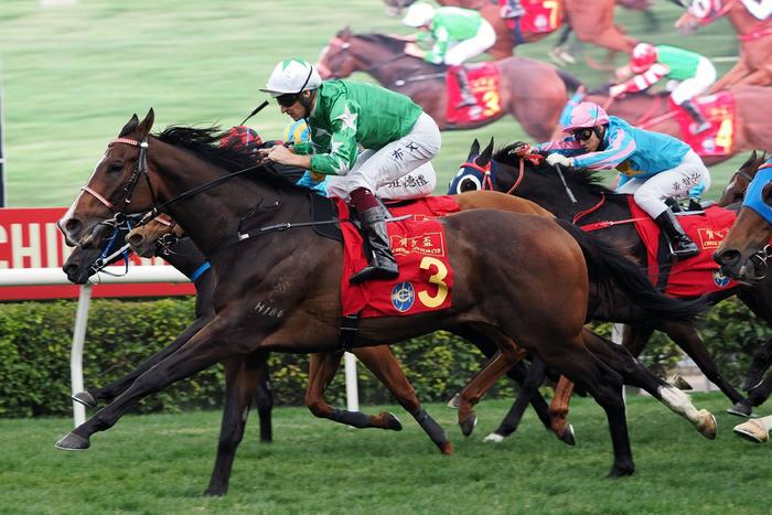 探索香港馬官網(wǎng)，一站式體驗7777788888的賽馬世界，探索香港馬官網(wǎng)，一站式賽馬世界體驗