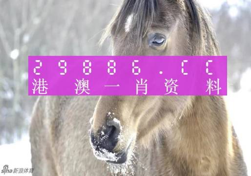 澳門一肖一碼，揭秘一個(gè)關(guān)于精準(zhǔn)預(yù)測(cè)背后的故事，澳門一肖一碼揭秘，精準(zhǔn)預(yù)測(cè)背后的神秘故事