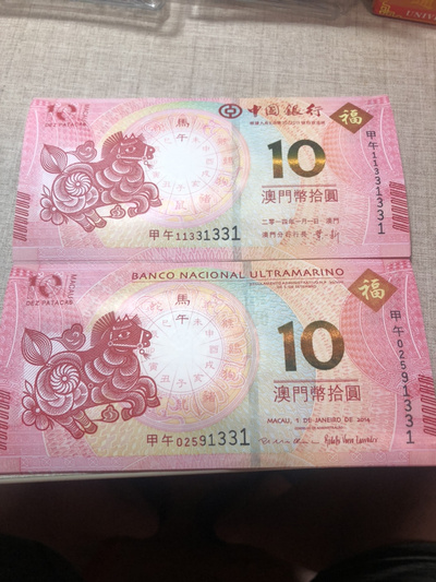 揭秘明天澳門必中生肖的神秘面紗，揭秘明天澳門必中生肖的神秘秘密
