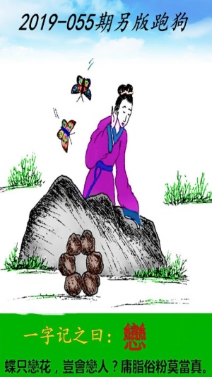 最新更新內(nèi)容，探索神秘的跑狗圖77777與88888的魅力，探索跑狗圖77777與88888的神秘魅力，最新更新內(nèi)容揭秘
