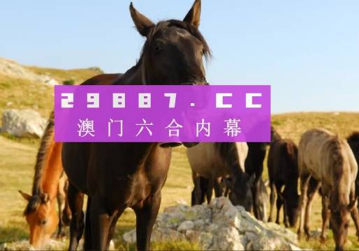 澳門管家婆一肖中特與香港阿飛免費印刷圖庫的獨特魅力 —— 2024澳門天天開好彩大全探索，澳門管家婆與香港阿飛圖庫魅力探索，2024澳門天天彩好彩大全揭秘