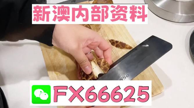 澳門(mén)九點(diǎn)半9點(diǎn)半網(wǎng)站——探索其魅力與優(yōu)勢(shì)，澳門(mén)九點(diǎn)半網(wǎng)站，魅力與優(yōu)勢(shì)探索