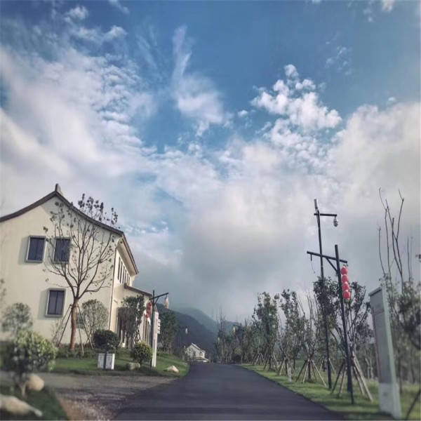 新奧今晚開(kāi)一肖一特講解詞語(yǔ)，揭秘生肖與特肖的獨(dú)特魅力，揭秘生肖與特肖的獨(dú)特魅力，新奧今晚一開(kāi)一特講解詞語(yǔ)
