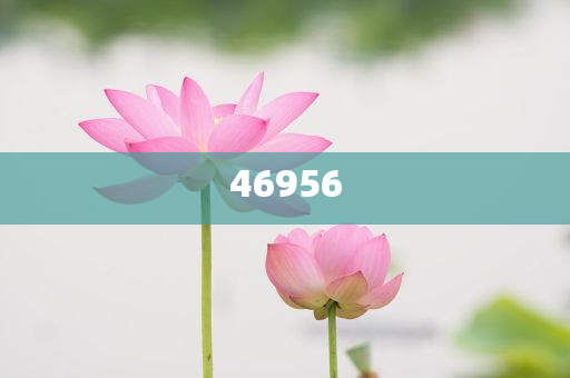 新奧集團(tuán)，邁向2025，天天開(kāi)好彩的愿景與挑戰(zhàn)，新奧集團(tuán)邁向2025，實(shí)現(xiàn)天天開(kāi)好彩的愿景與挑戰(zhàn)