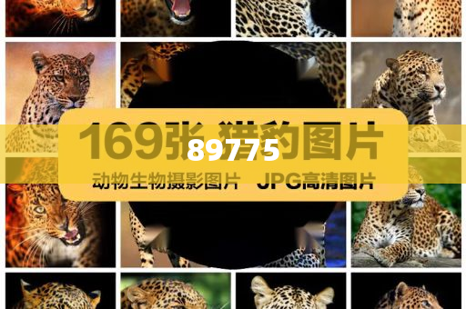 關(guān)于新奧歷史開獎(jiǎng)記錄的最新信息，今天公布了嗎？，新奧歷史開獎(jiǎng)記錄最新信息公布了嗎？