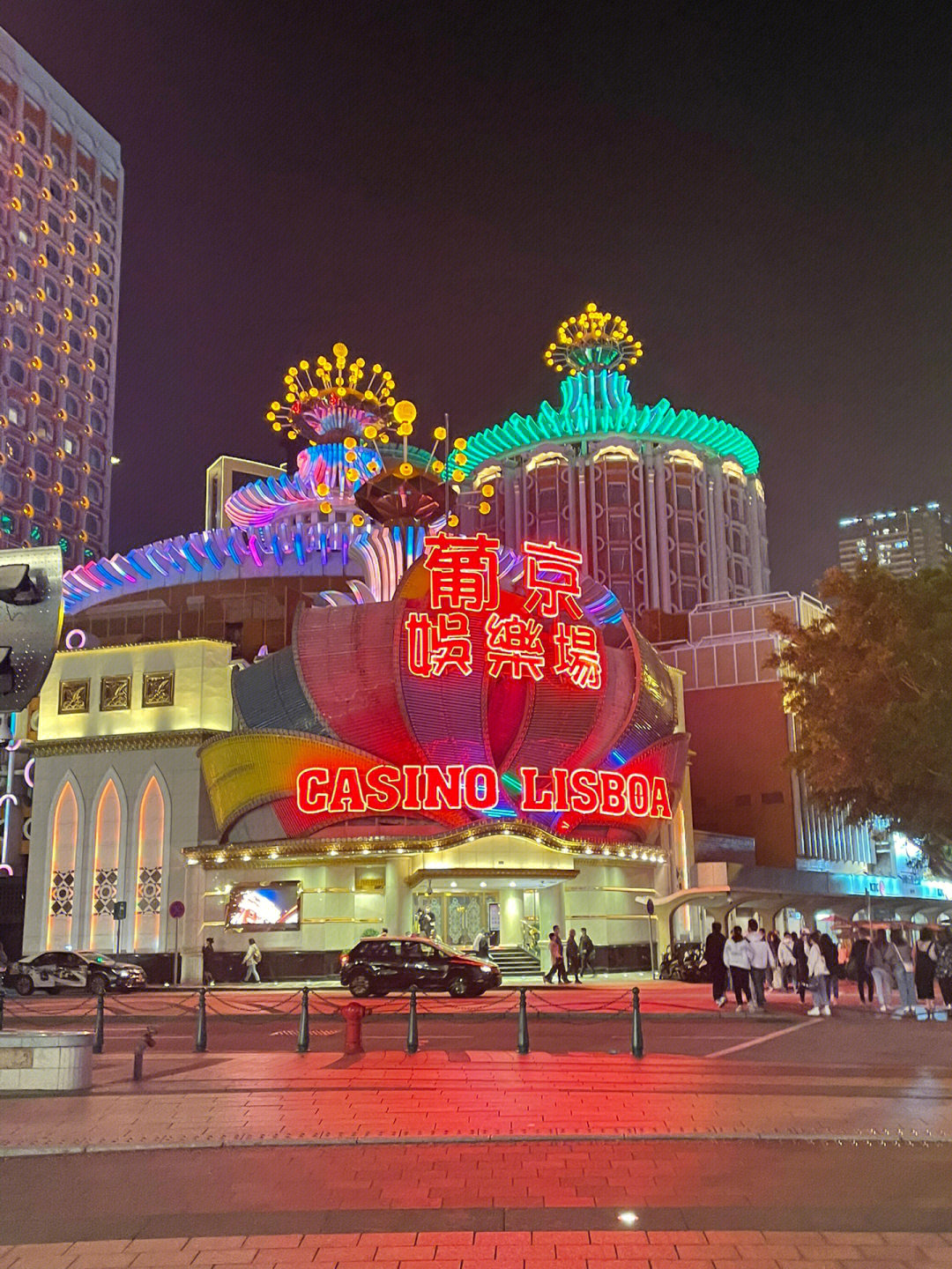 澳門(mén)今晚必開(kāi)一肖一特芳草地，探索生肖與運(yùn)勢(shì)的神秘面紗，澳門(mén)生肖運(yùn)勢(shì)揭秘，探索今晚必開(kāi)一肖一特芳草地神秘面紗的運(yùn)勢(shì)之旅