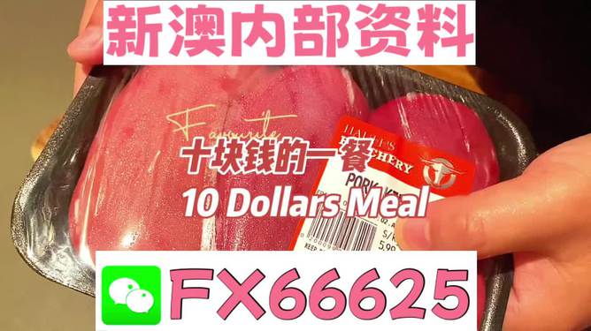 紅雙喜新澳資料，深度解析與SEO優(yōu)化策略，紅雙喜新澳資料深度解析與SEO優(yōu)化策略探討