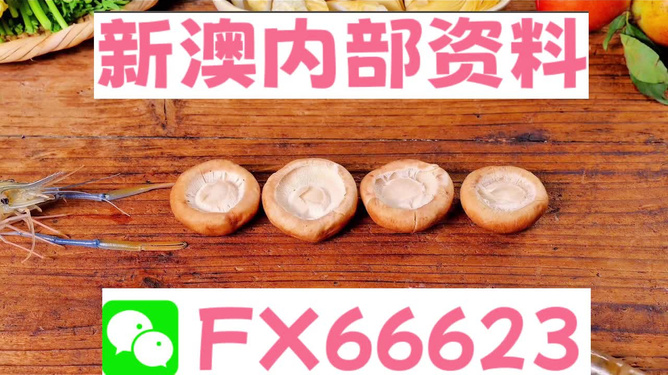 新澳正版資料免費(fèi)提供，全面解析與深度探索，新澳正版資料全面解析與深度探索，免費(fèi)提供的指南