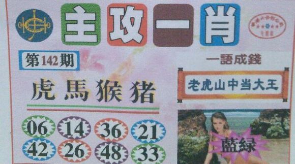 王中王號(hào)碼一肖，揭秘背后的秘密與策略，揭秘王中王號(hào)碼一肖背后的秘密與策略之道