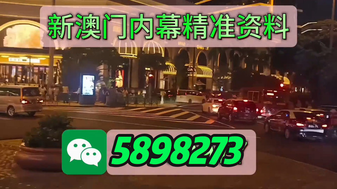 今晚澳門買什么最好？全方位解讀帶你走向勝利之路，澳門今晚買什么最佳？全方位指南引領(lǐng)你走向勝利之路