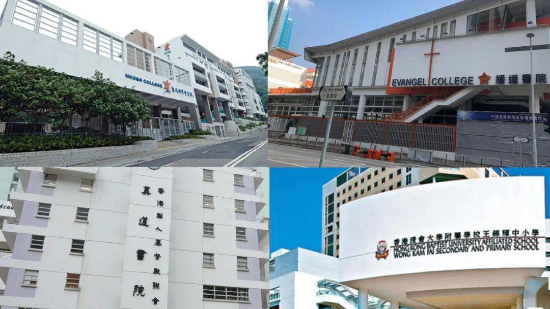 香港免費公開資料大全——探索無盡的資源寶庫，香港免費公開資料大全，資源寶庫深度探索