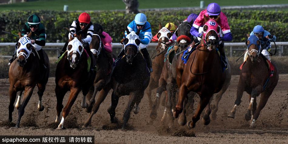 王中王內(nèi)部必中一肖——揭秘彩票背后的秘密，揭秘彩票王中王內(nèi)部必中一肖的神秘秘密