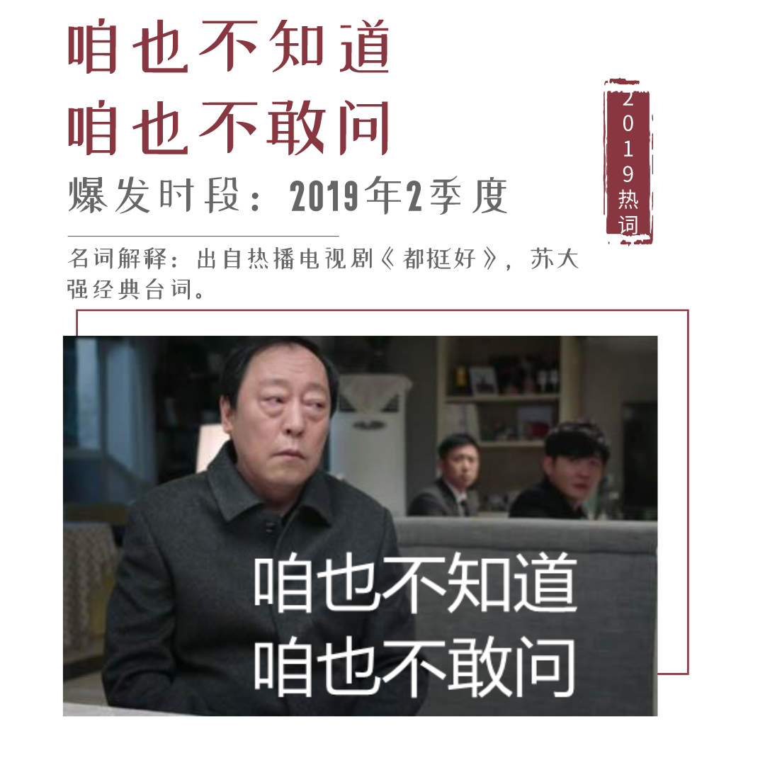 王中王一句解四肖，揭秘生肖奧秘與運(yùn)勢(shì)解析，揭秘生肖奧秘與運(yùn)勢(shì)解析，王中王一句解四肖探秘運(yùn)勢(shì)之道