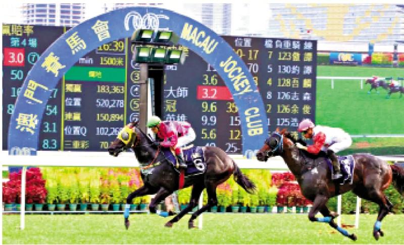 澳門賽馬會(huì)，歷史、文化與激情的交融，澳門賽馬會(huì)，歷史、文化與激情的盛會(huì)