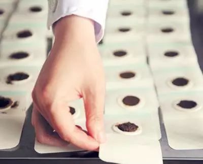 三伏貼，傳統(tǒng)中醫(yī)的獨(dú)特療法與現(xiàn)代應(yīng)用，三伏貼，傳統(tǒng)中醫(yī)的獨(dú)特療法及其現(xiàn)代應(yīng)用探索