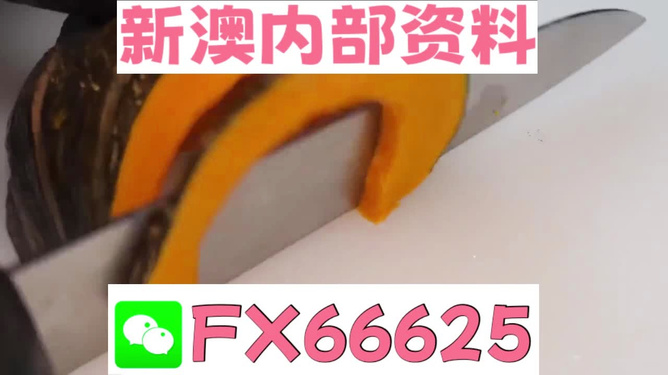 澳門管家婆，揭秘精準預測的秘密武器，澳門管家婆揭秘，精準預測的秘密武器全解析
