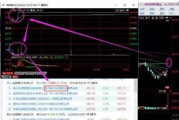 探索300563股吧的獨(dú)特魅力與機(jī)遇，揭秘300563股吧，獨(dú)特魅力與無(wú)限機(jī)遇