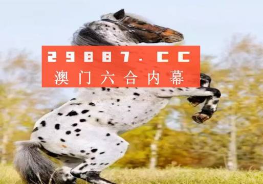 揭秘白小姐王中王四不像圖一，探尋肖中特的神秘面紗，揭秘白小姐王中王四不像圖與肖中特神秘面紗的背后真相