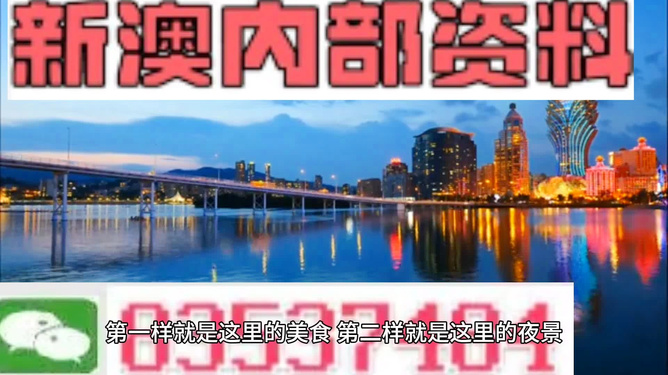 澳門免費(fèi)精準(zhǔn)大全4949，探索澳門博彩魅力的秘密，澳門博彩魅力揭秘，免費(fèi)精準(zhǔn)大全4949探索之旅