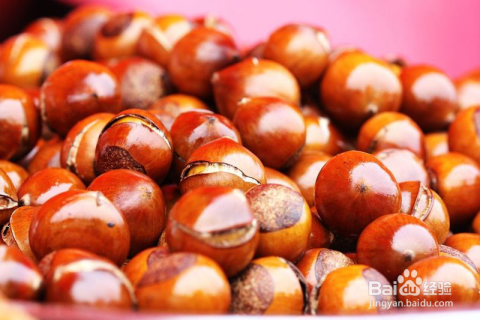 補(bǔ)腎吃什么食物最好最快