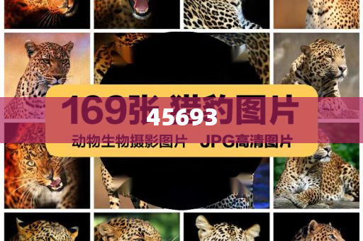 全新升級(jí)，7777888888精準(zhǔn)新管家，全新升級(jí)管家，精準(zhǔn)管理，一站式服務(wù) 7777888888新管家重磅來(lái)襲