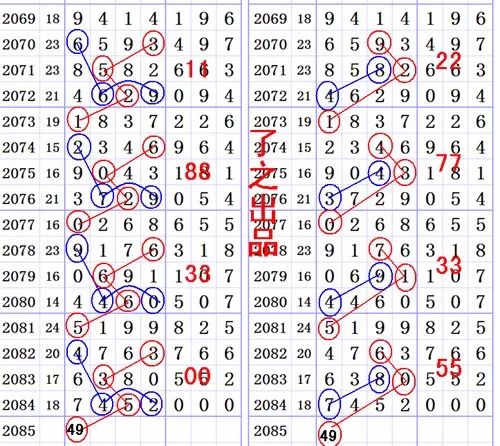 一肖一尾幾組二中二——揭秘生肖與數(shù)字之間的神秘聯(lián)系，揭秘生肖與數(shù)字間的神秘聯(lián)系，一肖一尾組合中二中二現(xiàn)象解析