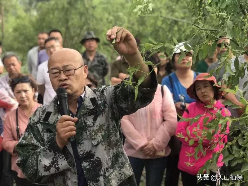 長期吃紅棗的潛在害處，了解并平衡飲食健康，長期食用紅棗的潛在風險與飲食平衡的重要性
