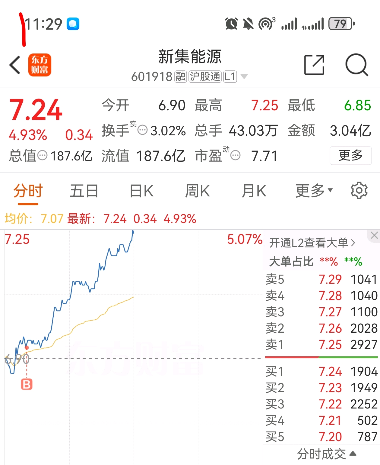 新能股份股票，深度解析與前景展望，新能股份股票深度解析及前景展望