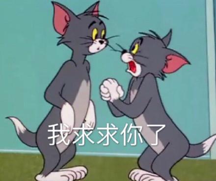湯姆貓股票股吧，投資熱點(diǎn)與前景展望，湯姆貓股票股吧，投資熱點(diǎn)與未來前景展望
