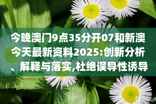 新澳今天最新資料，深度解讀與探索，新澳今日深度解讀與探索最新資料