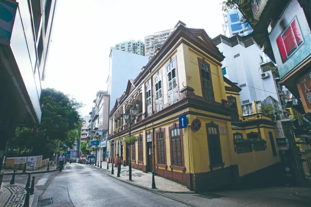 澳門三期內(nèi)必開一肖——揭秘生肖彩票的奧秘，揭秘澳門生肖彩票三期必開一肖的神秘面紗