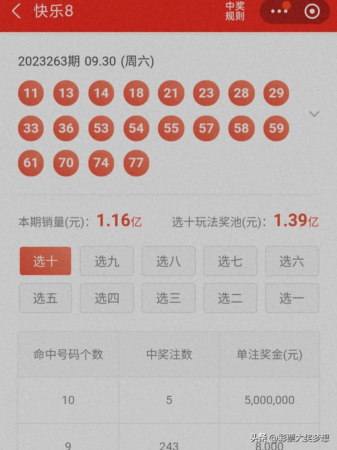 揭秘王中王四肖必中一肖中特，深度解析與SEO優(yōu)化策略，揭秘王中王四肖必中一肖中特，深度解析與SEO策略全攻略