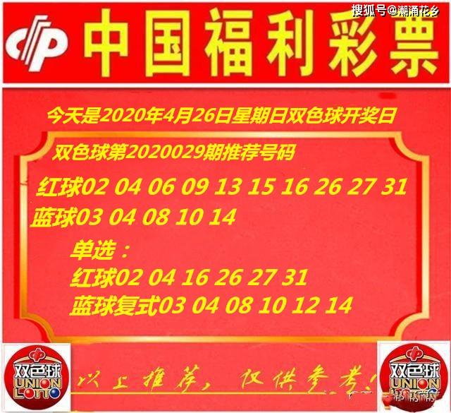 王中王029期指一生肖，揭秘生肖魅力與預(yù)測背后的秘密，揭秘生肖魅力與預(yù)測背后的秘密，王中王生肖預(yù)測第029期揭曉