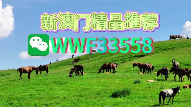 揭秘精準(zhǔn)預(yù)測一肖的秘密，解碼77777與88888的神秘數(shù)字組合，揭秘精準(zhǔn)預(yù)測生肖的秘密，數(shù)字組合77777與88888的神秘解碼