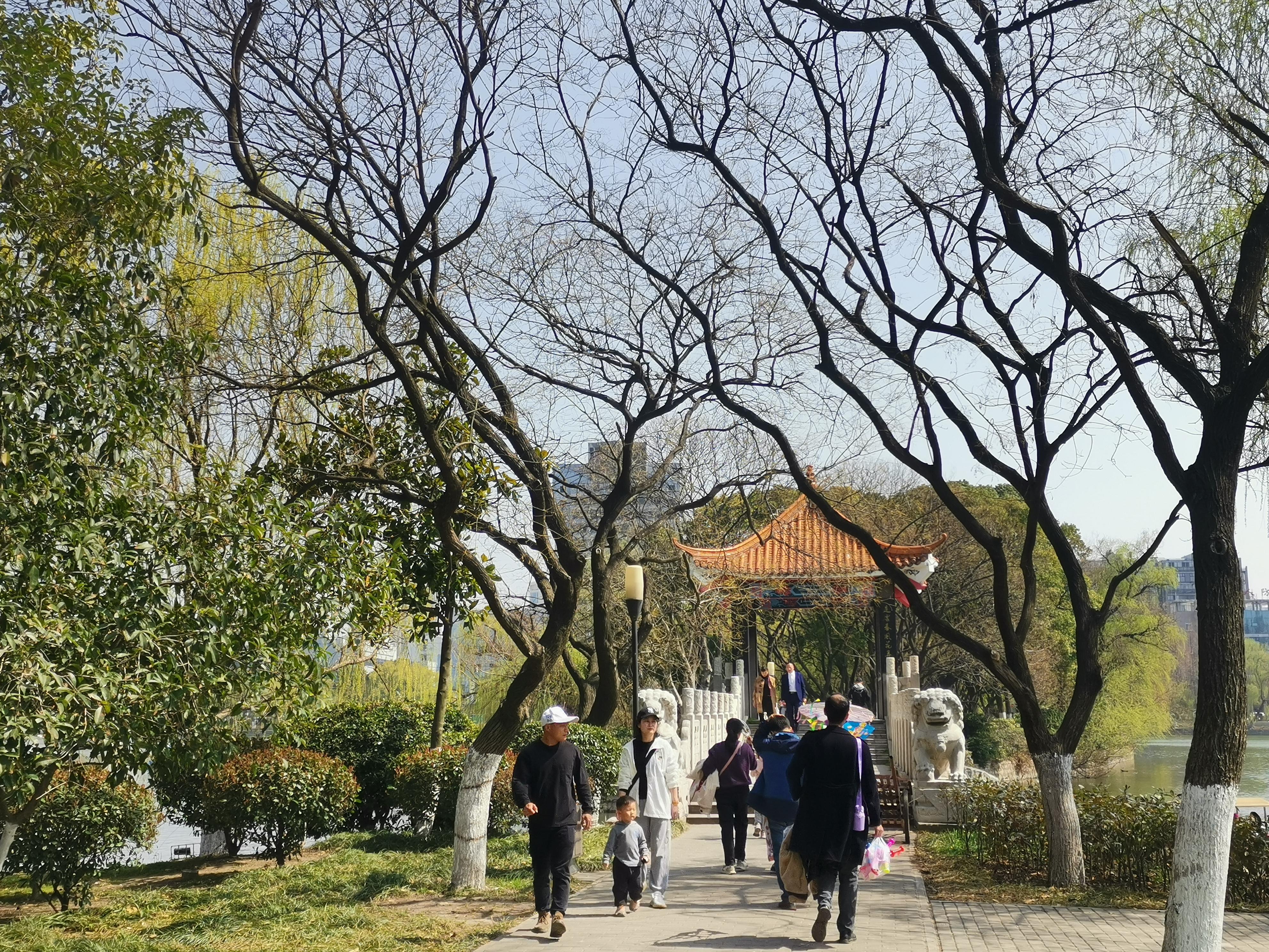 澳門75期最快天天開獎(jiǎng)，揭秘彩票背后的秘密與策略，澳門75期天天開獎(jiǎng)揭秘，彩票背后的秘密與策略探究