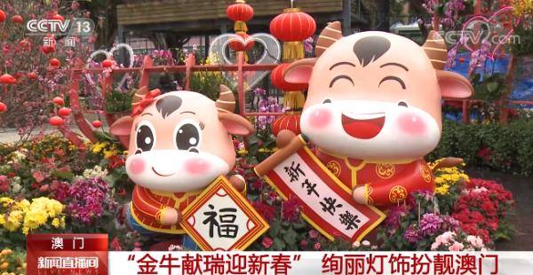 澳門金牛網(wǎng)金牛版論壇——探索與解析，澳門金牛網(wǎng)金牛版論壇，深度探索與解析